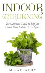 Indoor Gardening: the Ultimate Guide to Help You Create Your Indoor Green Space