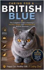 Caring for a British Blue: the Complete Guide to Raising a Healthy, Happy, and Well-behaved British Shorthair
