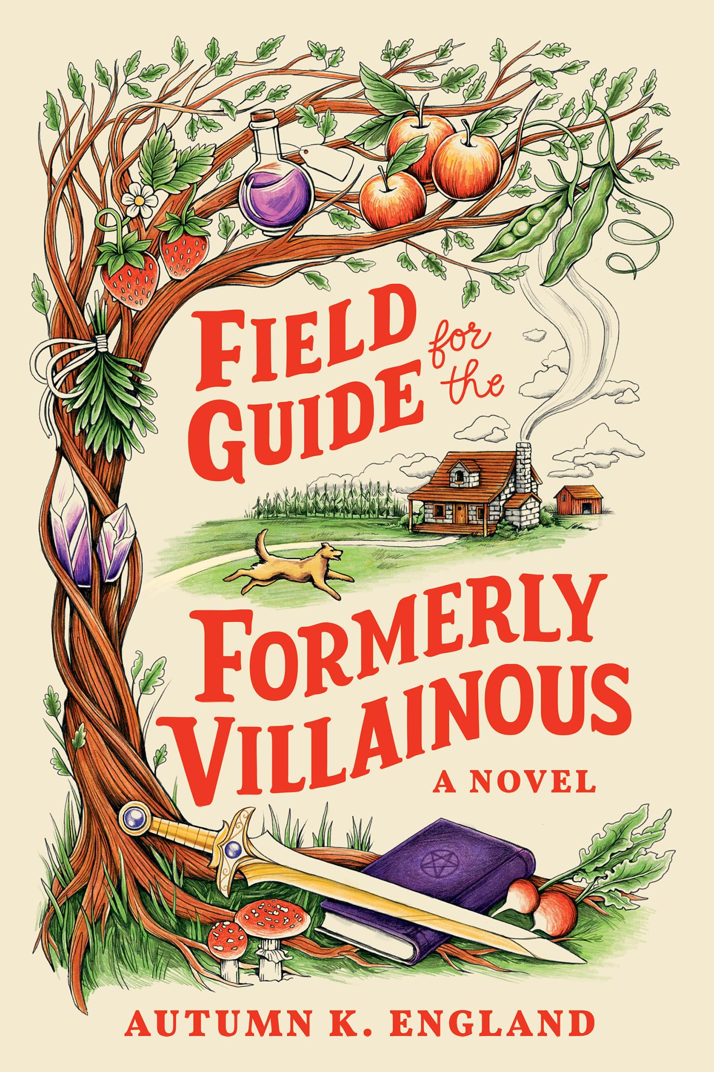 Field Guide for the Formerly Villainous