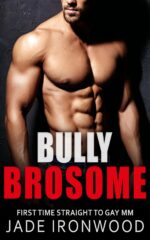 Bully Brosome: Straight to Gay M/m First Time Bottoms First Time Straight to Gay