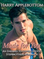 Made for You: an Enemies to Lovers Erotic Stepbrothers Romance