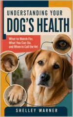 Understanding Your Dog’s Health: What to Watch For, What You Can Do, and When to Call the Vet