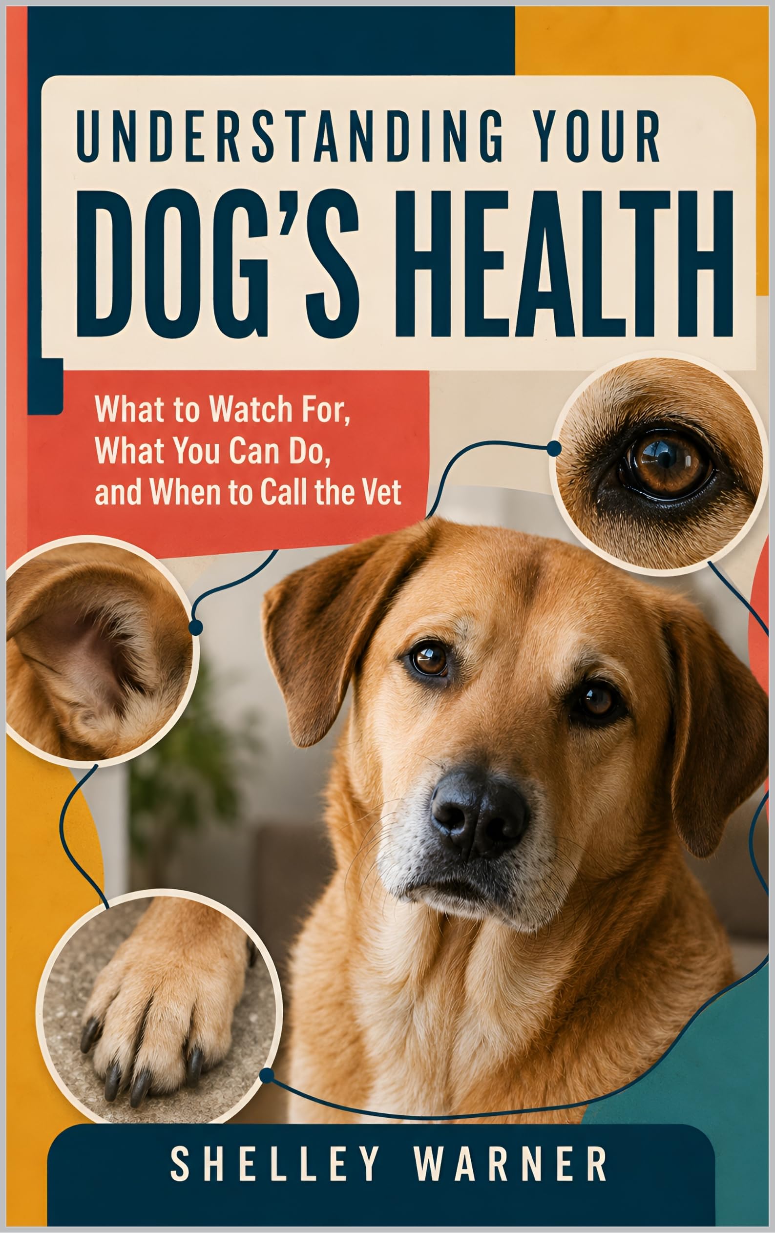 Understanding Your Dog’s Health: What to Watch For, What You Can Do, and When to Call the Vet
