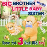 Big Brother Little Baby Sister Book for 3 Year Old Boy: a Warm Rhyming Story to Prepare for a New Sibling Sibling Books By