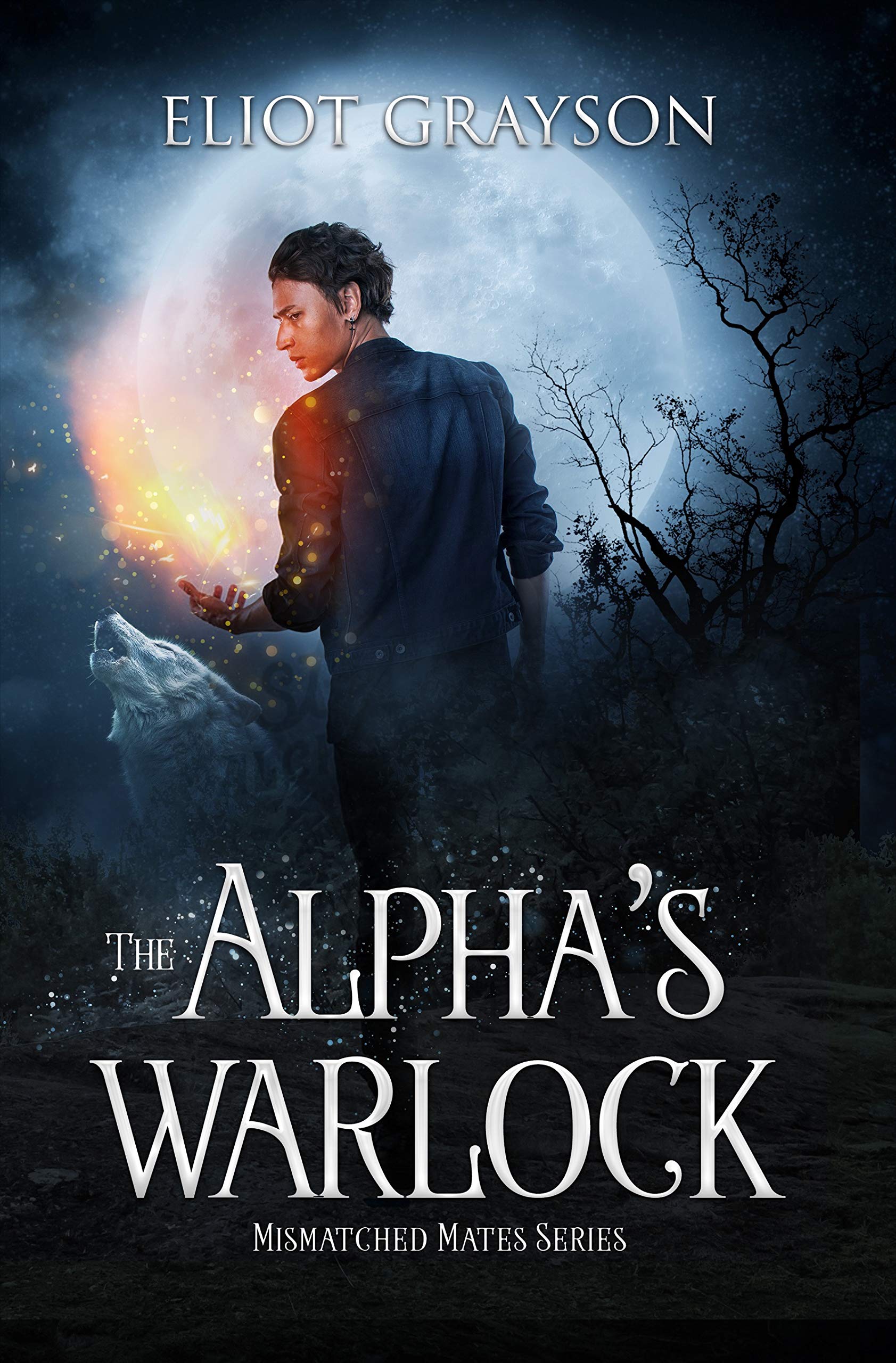 The Alpha's Warlock Mates Book