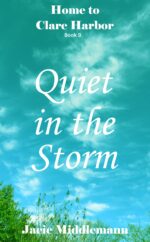 Quiet in the Storm to Clare Harbor Book