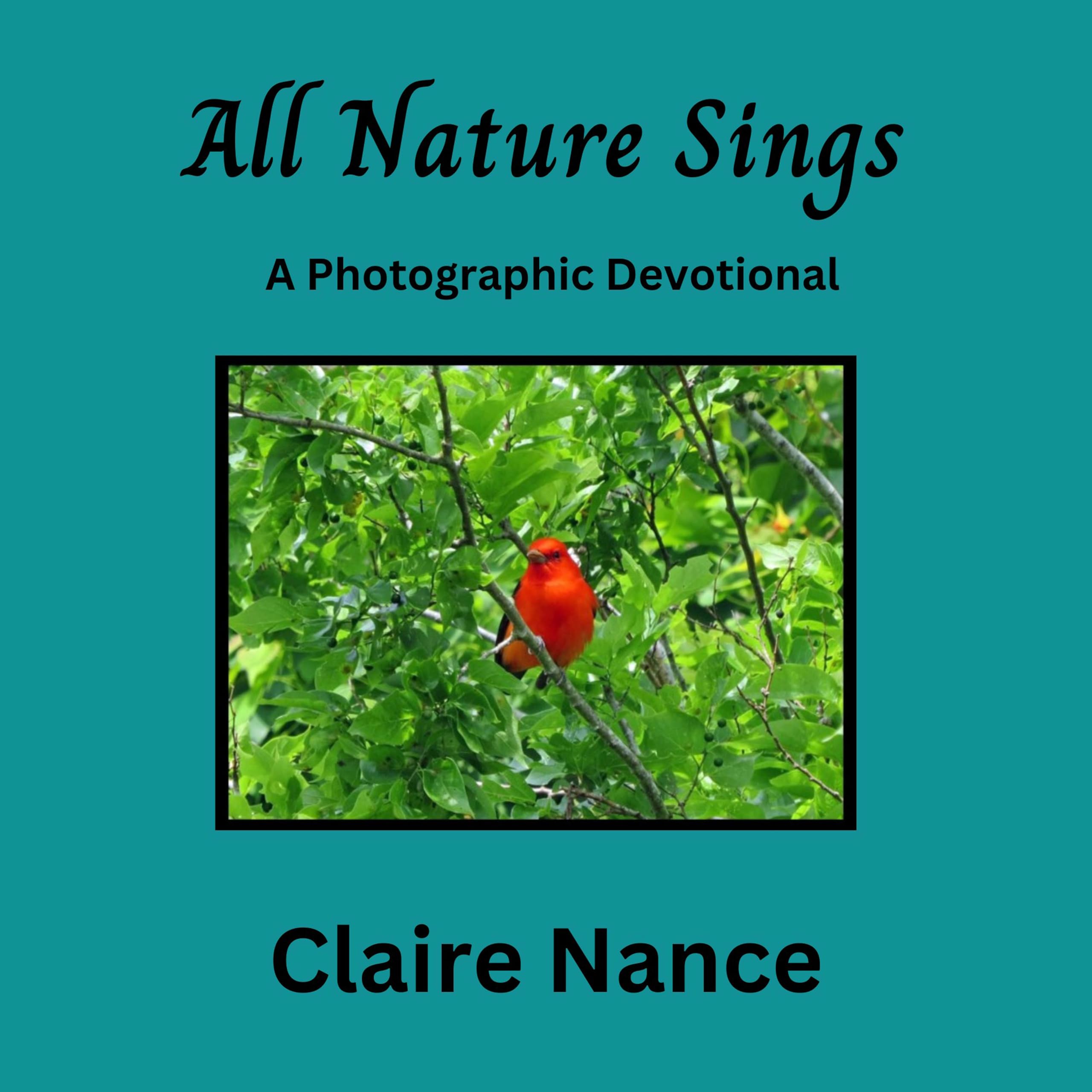 All Nature Sings: a Photographic Devotional Photographic Meditation Series Book