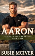 Aaron: Romantic Suspense Five Seals Book