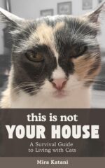 This Is Not Your House: a Survival Guide to Living With Cats