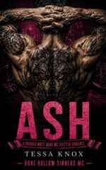 Ash: a Burned Mate Dark Wolf Shifter Mc Romance Hollow Sinners Mc Book