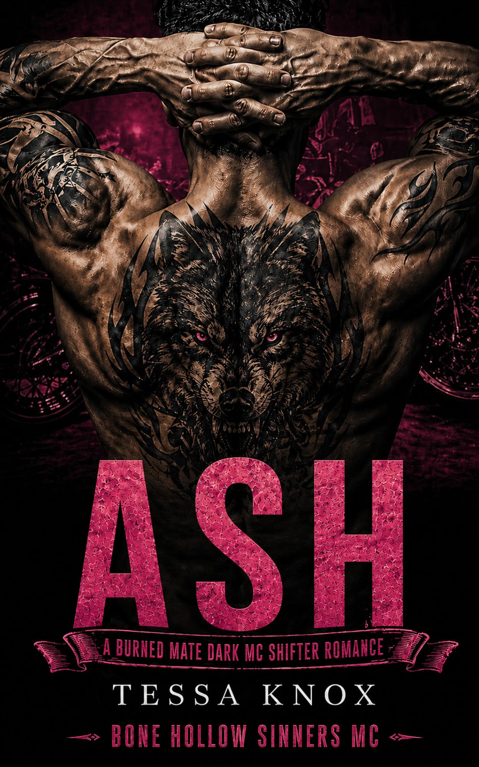 Ash: a Burned Mate Dark Wolf Shifter Mc Romance Hollow Sinners Mc Book