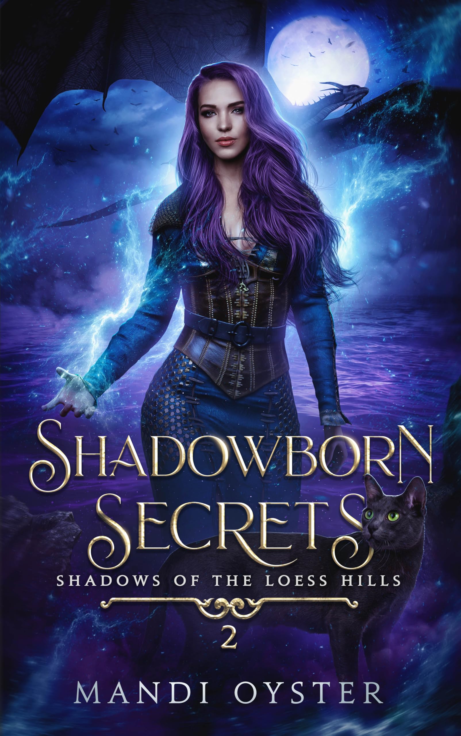 Shadowborn Secrets: a New Adult Urban Fantasy Novel of the Loess Hills Book