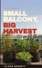 Small Balcony, Big Harvest: a Container-gardening Field Guide for City Apartments