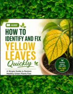 How to Identify and Fix Yellow Leaves Quickly: a Simple Guide to Restore Healthy Green Plants Fast
