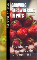 Growing Strawberries in Pots: Strawberry Growing Guide for Beginners Fruit In