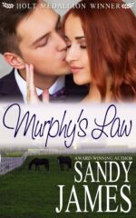 Murphy's Law Heroes Book