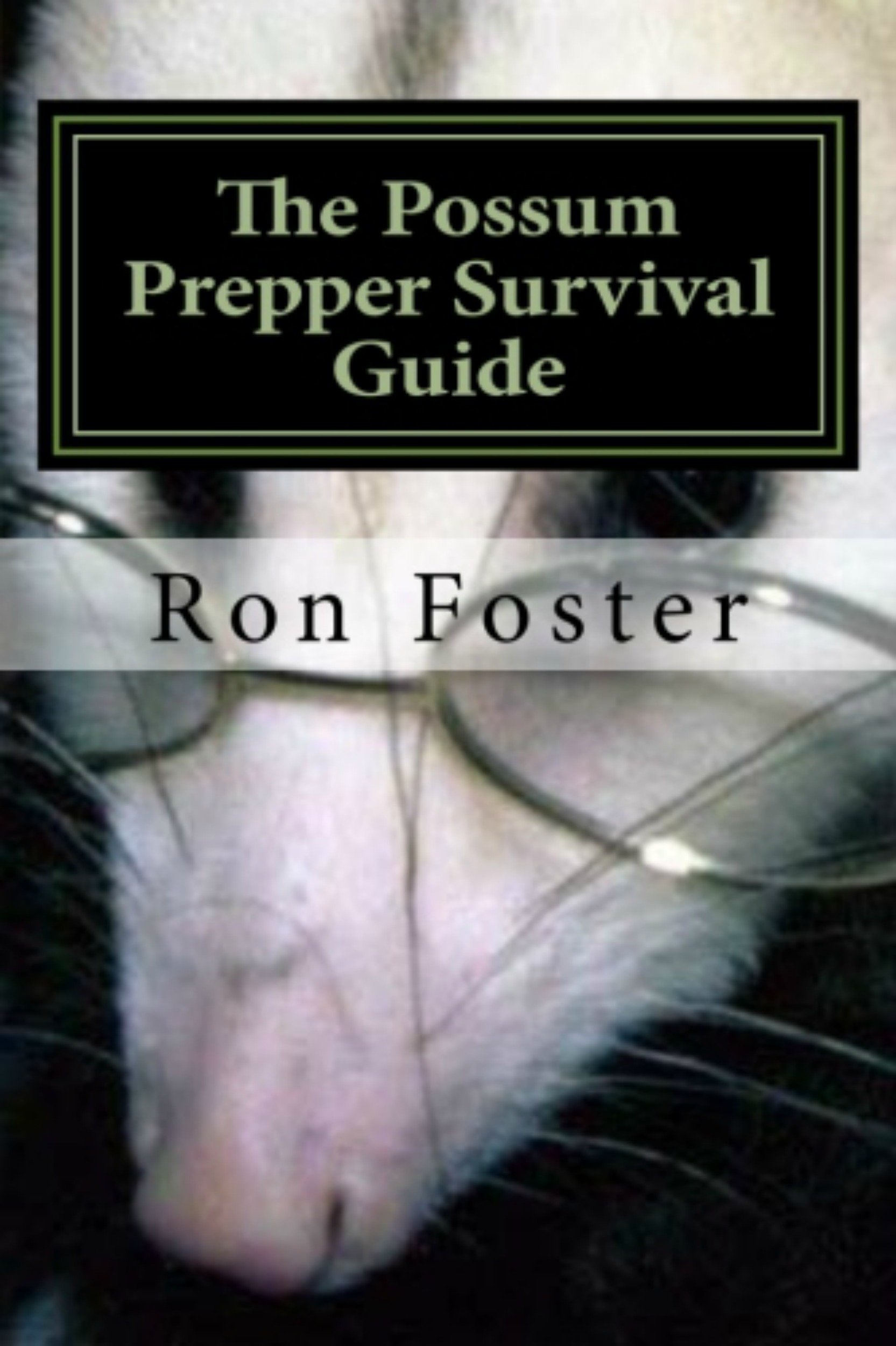 The Possum Prepper Guide: How to Buy a Homestead and Thrive During a Disaster