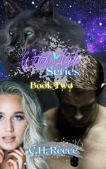 Witch's Link : Book Two Link Series