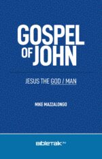 Gospel of John: Jesus the God/man New Testament