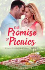 The Promise of Picnics: a Small-town Christian Romance Holiday Heartstrings Book