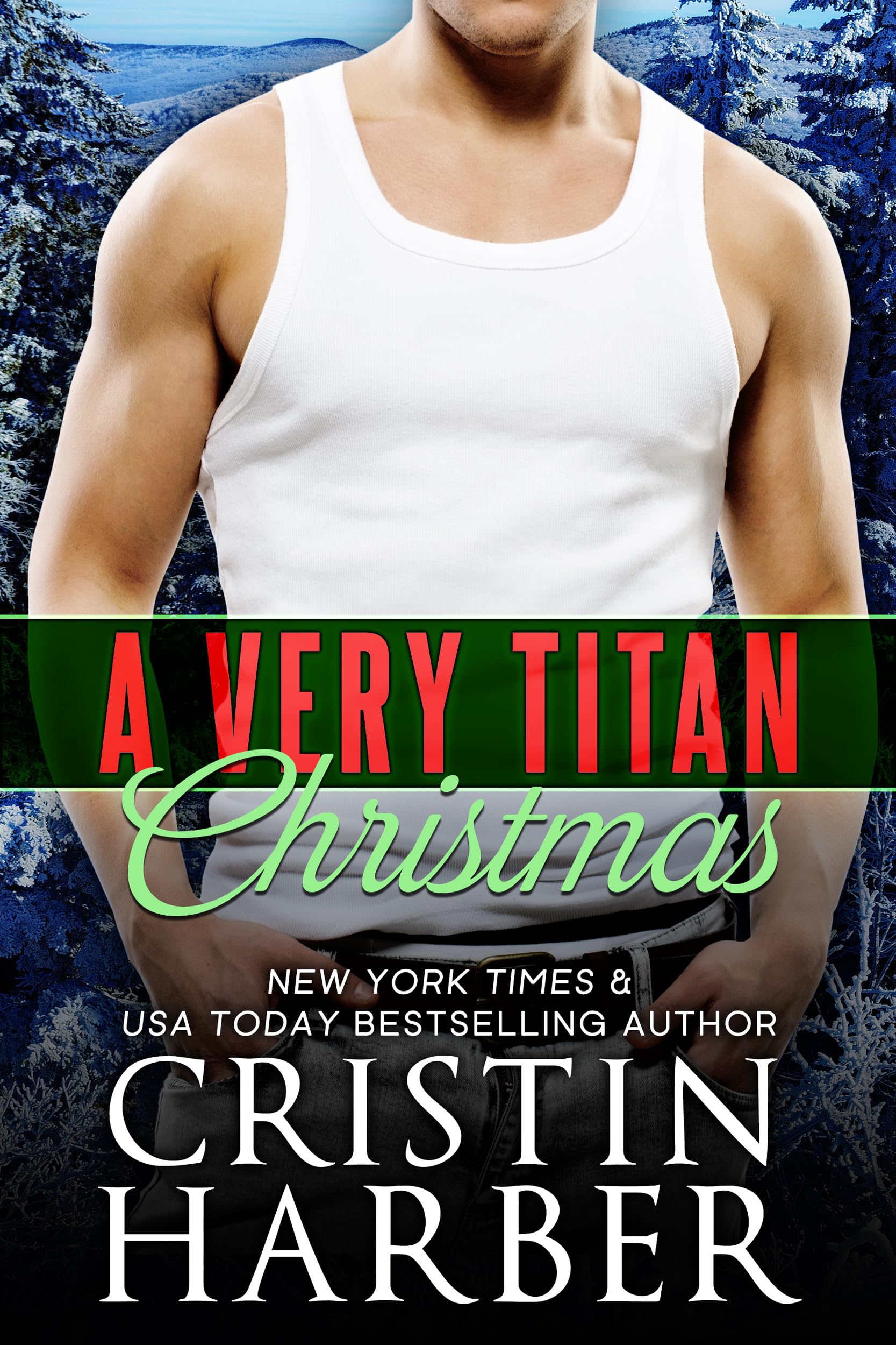 A Very Titan Christmas: a Fake Dating Second Chance Small Town Christmas Romance