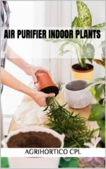 Air Purifier Indoor Plants