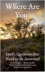 Where Are You?: God's Questions That Need to Be Answered
