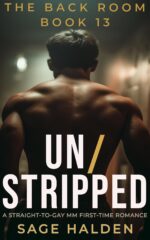 Un/stripped: Straight to Gay Mm First Time Detective: a Dark Gay Awakening Romance Back Room Book