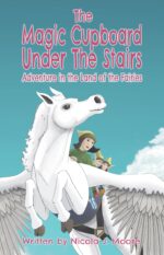 Adventure in the Land of the Fairies Magic Cupboard Under the Stairs Book