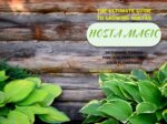 Hosta Magic: the Ultimate Guide to Growing Hostas – Designing, Caring For, and Perfecting Your Flowerbed