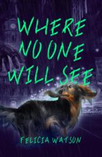 Where No One Will See