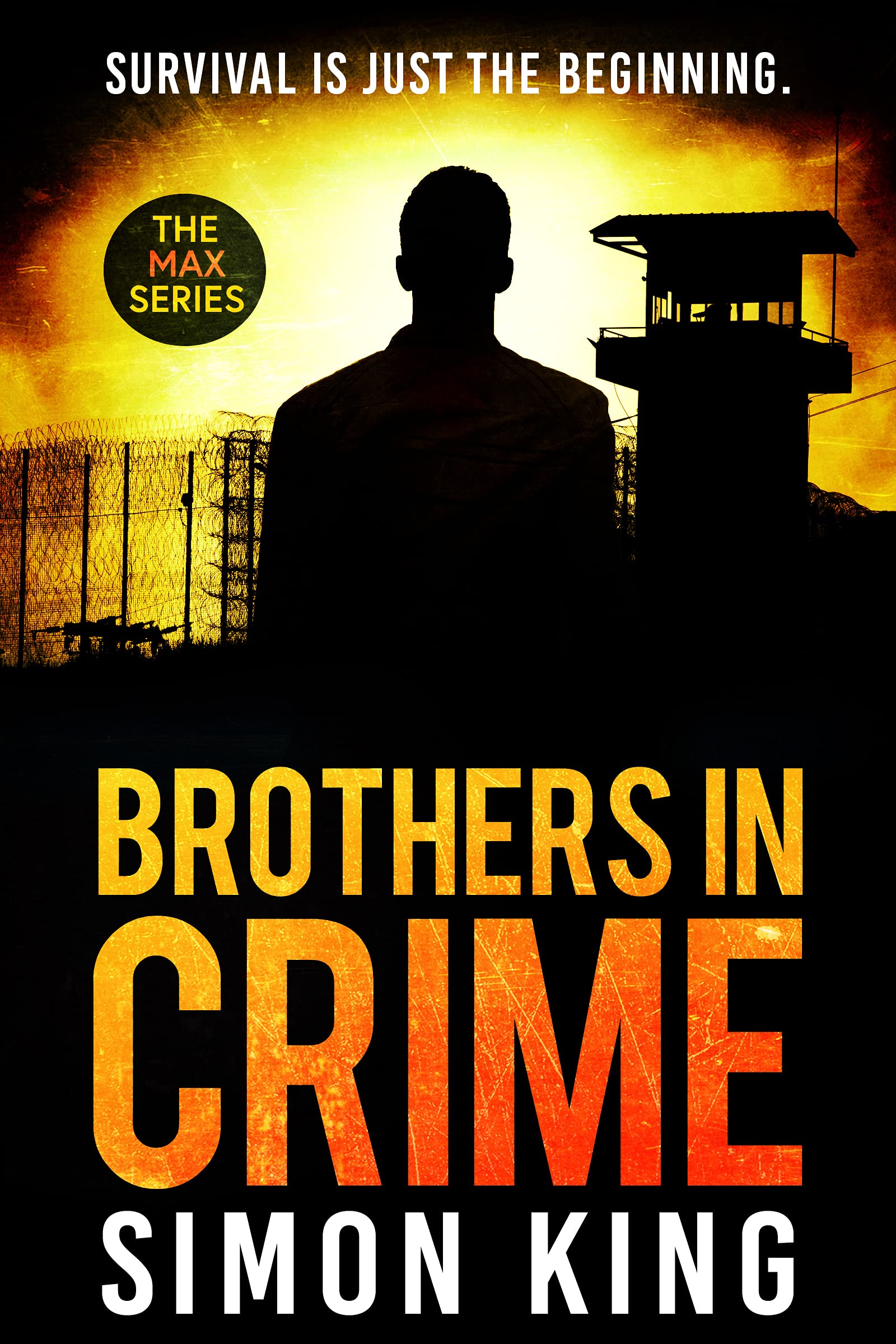 Brothers in Crime: a Crime Thriller Series Book