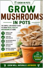 Beginner Mushroom Growing at Home Easy Indoor Mushroom Gardening for Beginners Using Cheap Diy Methods, Small Spaces & Simple Supplies | Grow in Pots