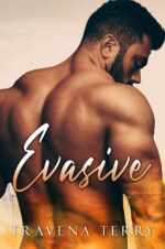 Evasive : an Erotic Romance Sexy Series Book