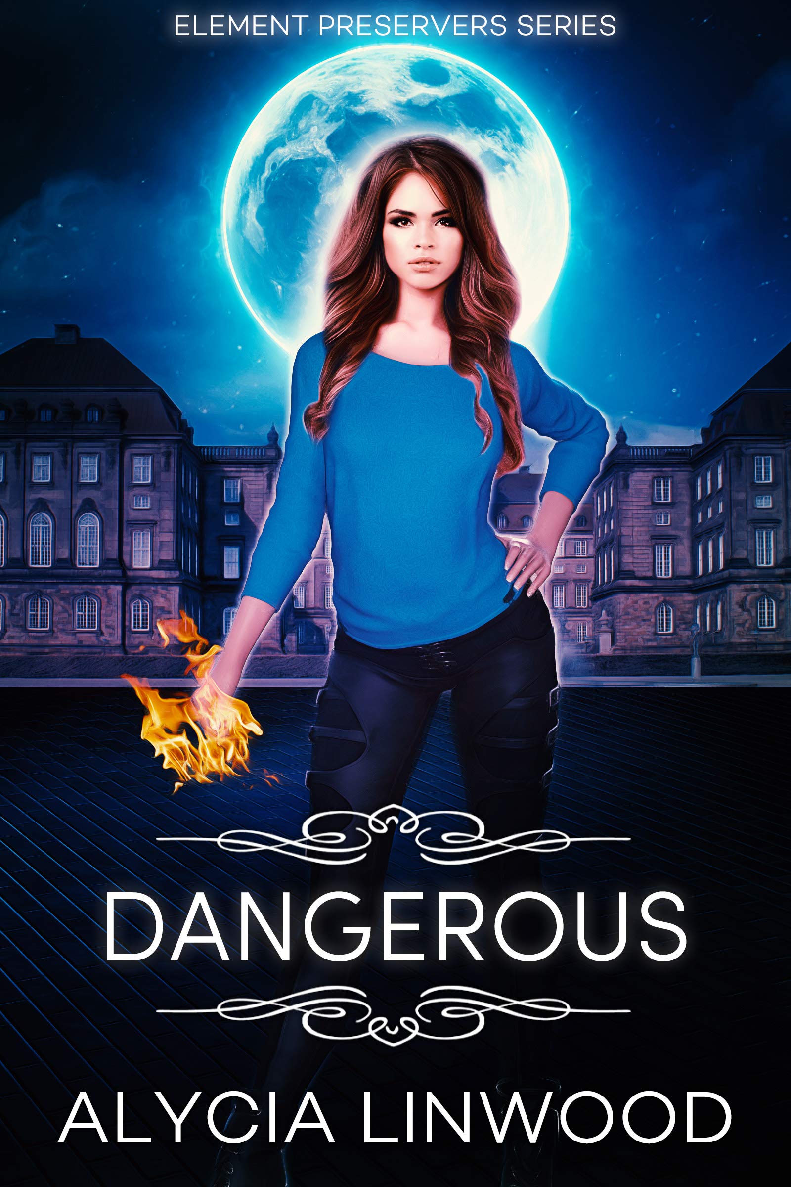 Dangerous Preservers Book