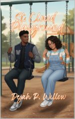 St. Cloud Playground Secret Hideout Series Book