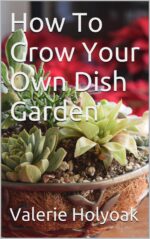 How to Grow Your Own Dish Garden: Never Throw Away an Old Dish Again Because It Can Become a Spectacular Miniature Garden