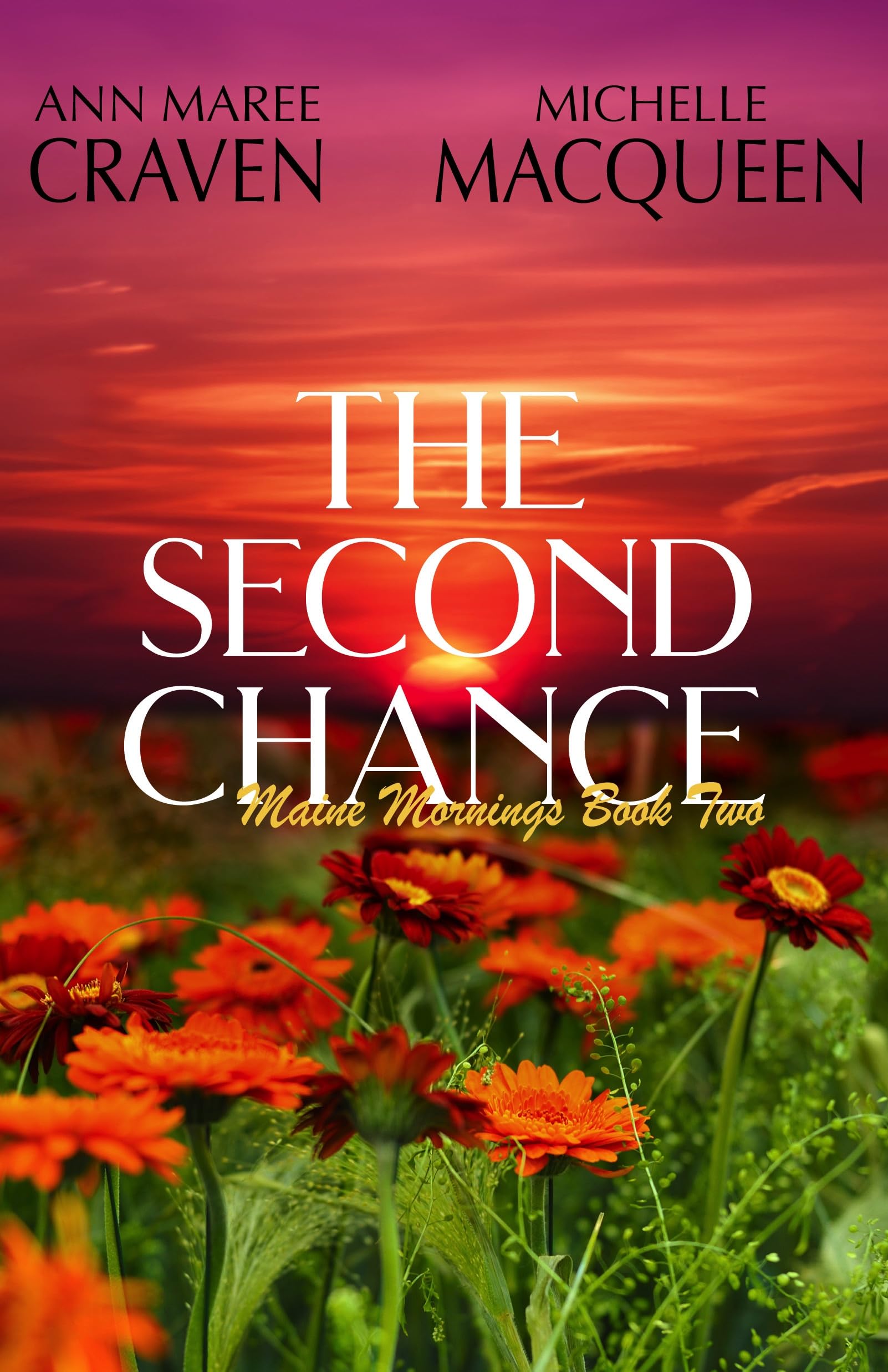 The Second Chance Mornings Book