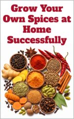 Grow Your Own Spices at Home Successfully Detailed, Informative Series On