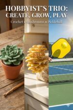 The Hobbyist’s Collection: Master Three Exciting Skills