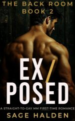 Ex/posed: Straight to Gay Mm First Time Lawyer: a Dark Anonymous Club Romance Back Room Book
