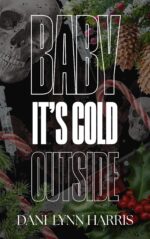 Baby, It’s Cold Outside: a Holiday Stalker Romance