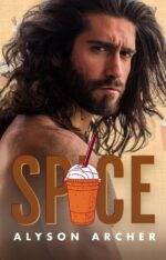 Spice Holidays Book