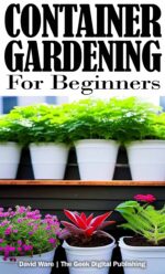 Container Gardening for Beginners