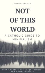 Not of This World: a Catholic Guide to Minimalism