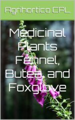 Medicinal Plants Fennel, Butea, and Foxglove