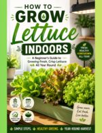How to Grow Lettuce Indoors
