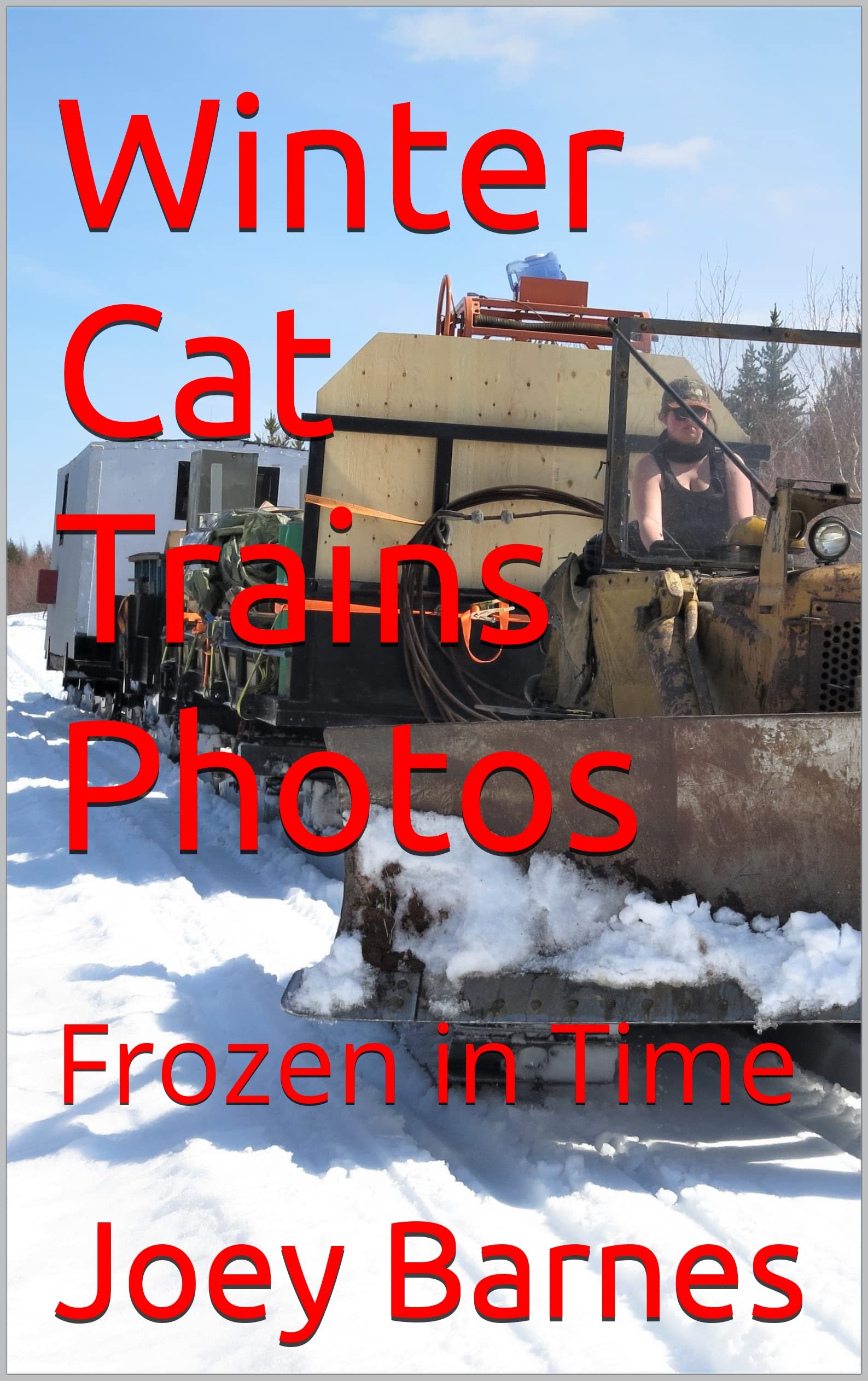 Winter Cat Trains Photos: Frozen in Time of Obsolete's Pictorial Book