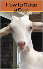 How to Raise a Goat