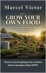 Grow Your Own. the Beginner's Complete Guide to Growing Food, Saving Seeds, and Never Buying Vegetables : There Is Never Going to Be a Better Time to ... Now! Preparedness Series Book